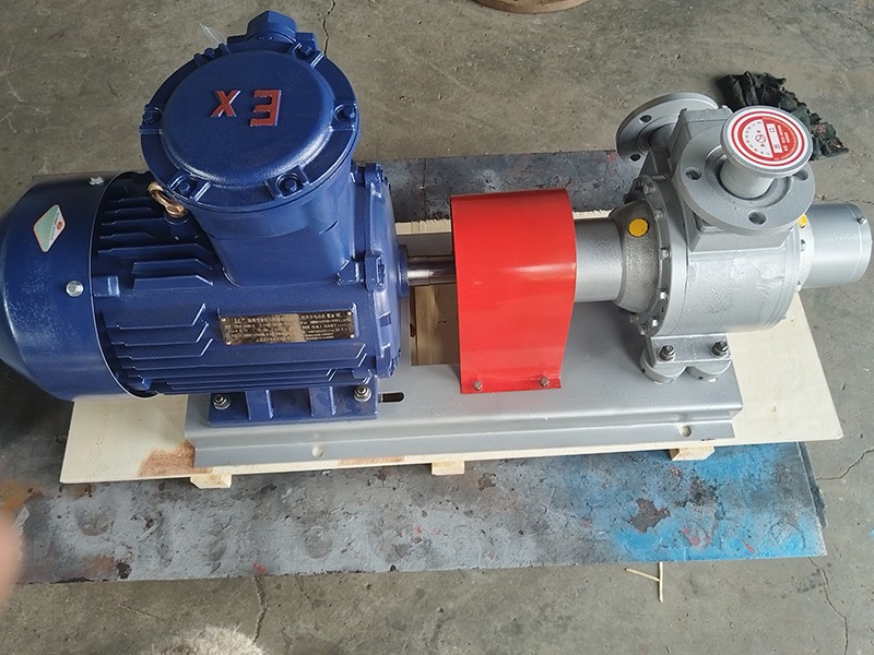 双端密封容积泵 双端密封容积泵